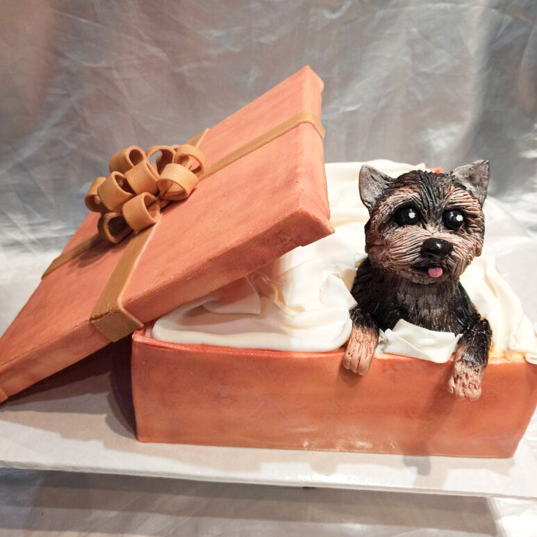 placeholder image-sq